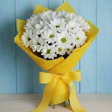 Букет цветов из:  Хризантемы в Павлово Ленинградской области