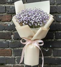 Букет цветов из:  Гипсофила в Павлово Ленинградской области