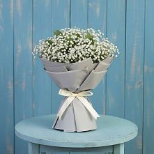 Букет цветов из:  Гипсофила в Павлово Ленинградской области