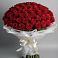 Букет 101 Красная роза Блэк Мэджик в Павлово Ленинградской области