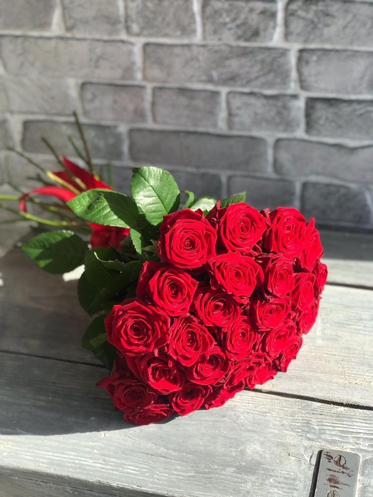 Букет Красные розы Фридом в Павлово Ленинградской области