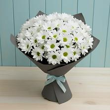 Букет цветов из:  Хризантемы в Павлово Ленинградской области