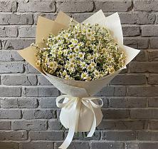 Букет цветов из:  Ромашки в Павлово Ленинградской области