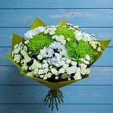 Букет цветов из:  Хризантемы #REPLACE_PRED# Павлово Ленинградской области