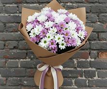 Букет цветов из:  Хризантемы в Павлово Ленинградской области