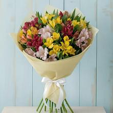Букет цветов из:  Альстромерии в Павлово Ленинградской области