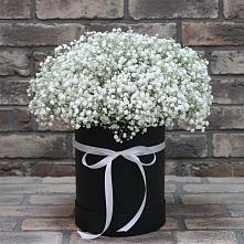 Цветочная композиция из Гипсофила в шляпной коробке в Павлово Ленинградской области