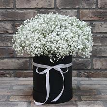 Цветочная композиция из Гипсофила в шляпной коробке в Павлово Ленинградской области
