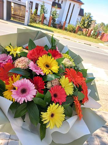 Букет цветов из: Герберы в Павлово Ленинградской области