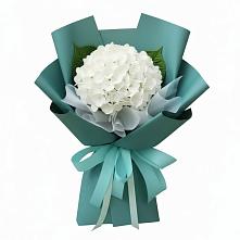 Букет цветов из:  Гортензия в Павлово Ленинградской области